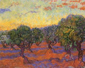 Grove of Olive Trees, 1889 by Vincent van Gogh