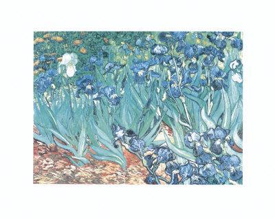 iris van gogh prix