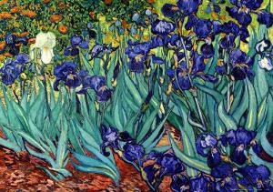 Irises, Saint-Remy, c.1889 by Vincent van Gogh