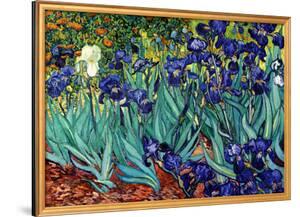 Irises, Saint-Remy, c.1889 by Vincent van Gogh