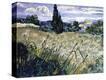 Stretched Canvas Print