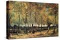 Stretched Canvas Print