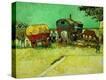 Stretched Canvas Print