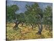 Stretched Canvas Print
