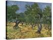 Stretched Canvas Print