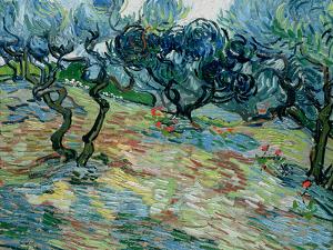 Olive Trees, 1889 by Vincent van Gogh