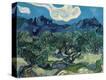 Stretched Canvas Print