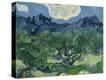 Stretched Canvas Print