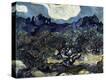 Stretched Canvas Print