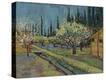 Stretched Canvas Print