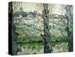 Stretched Canvas Print