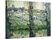 Stretched Canvas Print