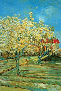 Orchard with Cypress by Van Gogh by Vincent van Gogh