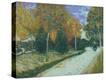 Stretched Canvas Print