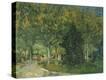 Stretched Canvas Print