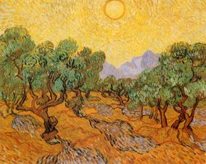 Sun over Olive Grove, 1889 by Vincent van Gogh