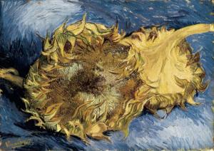 Sunflowers by Vincent van Gogh