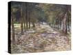 Stretched Canvas Print