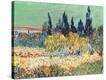 Stretched Canvas Print