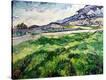 Stretched Canvas Print