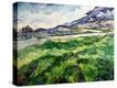 Stretched Canvas Print