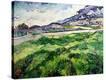 Stretched Canvas Print