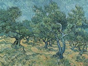 The Olive Grove by Vincent van Gogh