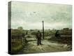 Stretched Canvas Print