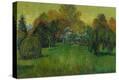 Stretched Canvas Print