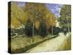 Stretched Canvas Print