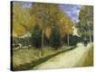Stretched Canvas Print