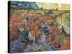 Stretched Canvas Print