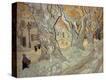 Stretched Canvas Print