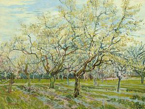 The White Orchard, 1888 by Vincent van Gogh