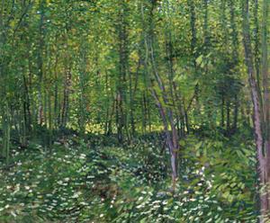 Trees and Undergrowth, c.1887 by Vincent van Gogh