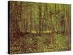 Stretched Canvas Print