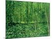 Premium Giclee Print