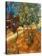 Stretched Canvas Print
