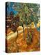 Stretched Canvas Print