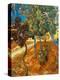 Stretched Canvas Print