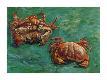Premium Giclee Print