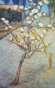 Van Gogh: Peartree, 1888 by Vincent van Gogh