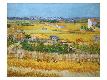 Premium Giclee Print