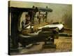 Stretched Canvas Print