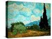 Stretched Canvas Print