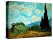 Stretched Canvas Print