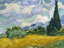 Garden in Bloom Arles, c.1888-Vincent van Gogh-Giclee Print