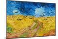 Premium Giclee Print
