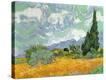 Stretched Canvas Print