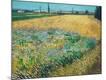 Premium Giclee Print